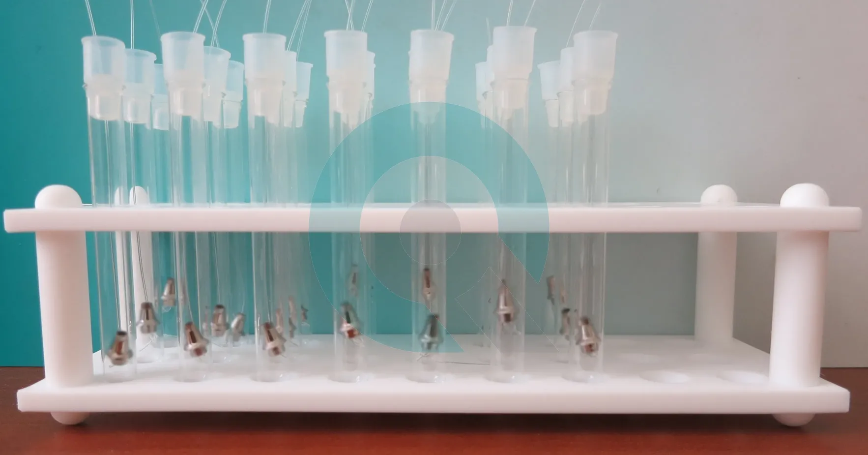 static immersion corrosion testing of dental implants according ISO 10271 Dental implant corrosion test ISO 10271