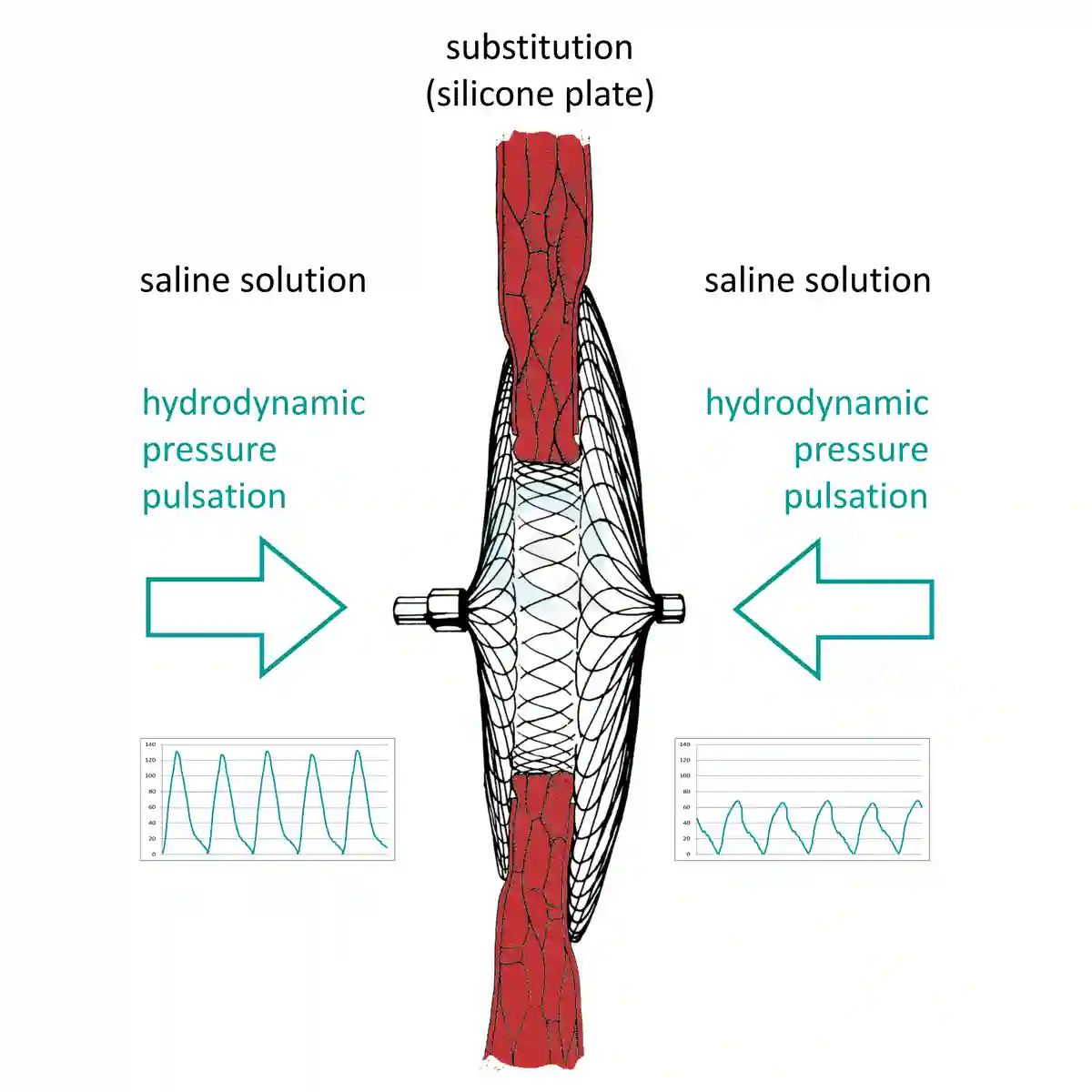 Occluder pulsatile test principle ISO 22679 Occluder hydrodynamic test principle